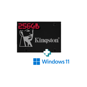 Mejora de Velocidad Disco Básico 256GB